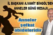 BİNGÖL: ANNELER ŞEFKAT ABİDESİDİR