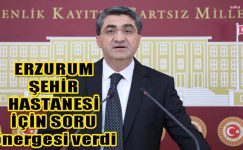 Ekmen, Erzurum Şehir Hastanesi için soru önergesi verdi