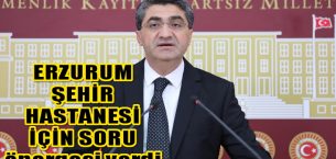 Ekmen, Erzurum Şehir Hastanesi için soru önergesi verdi